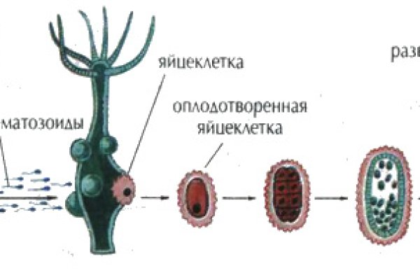 Кракен рабочий сайт