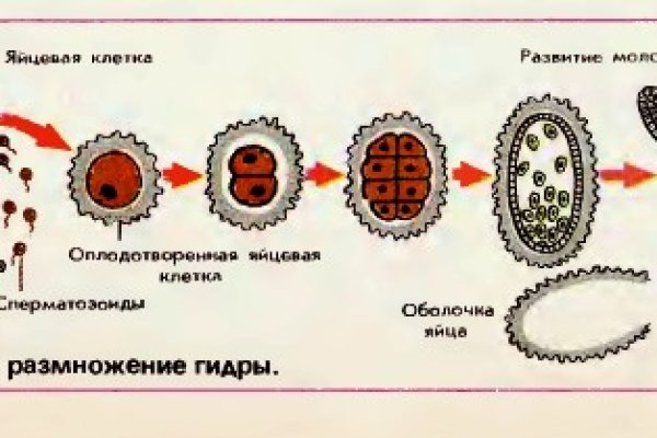 Kraken официальное зеркало kraken dark link